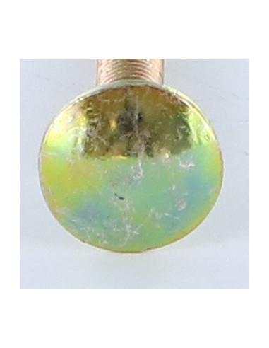 1 x Carriage Bolt M5X35 Full Thread Yellow Zinc