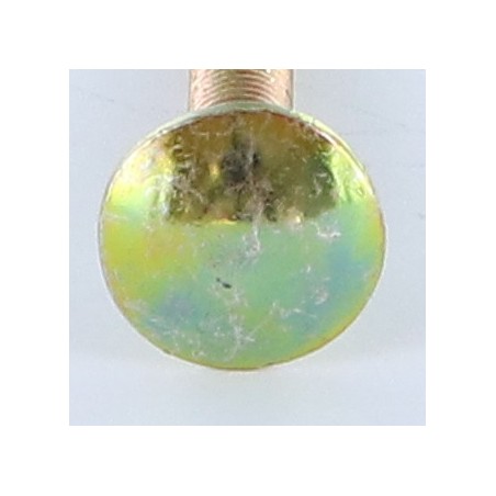 1 x Carriage Bolt M5X35 Full Thread Yellow Zinc