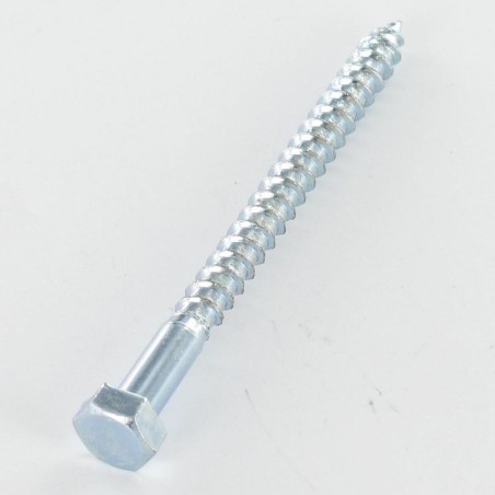 1 x Coach Screws/Hexagonal Head Wood 20X100 Zinc Plated