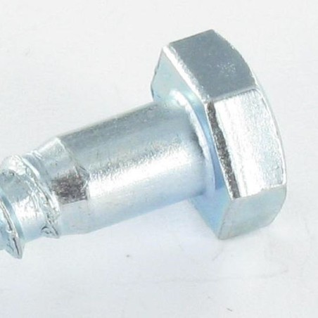 1 x Coach Screws/Hexagonal Head Wood 10X200 Hot Dip Galvanized