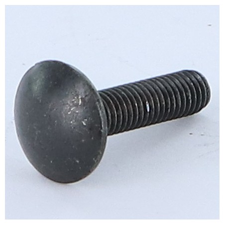 1 x Carriage Bolt M5X20 Full Thread Black Zinc Plated