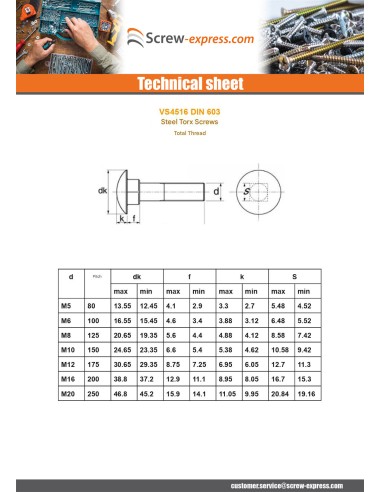 1 x Carriage Bolt M6X45 MARK Full Thread Aluminium