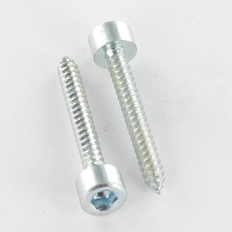 1 x Thread Rolling Screw Socket Head Hexagon Socket 5 5.5X25 Zinc Plated