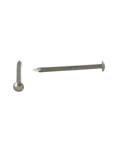 1 x Kg of nails Stainless Steel A2 Round Head 2X30