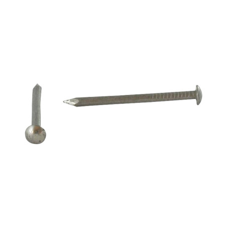 1 x Kg of nails Stainless Steel A2 Round Head 2X30