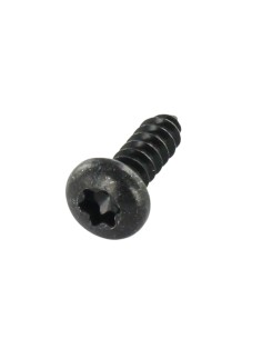Thread Rolling Screw Pan Head 4.2X13 T20 Black Zinc Plated