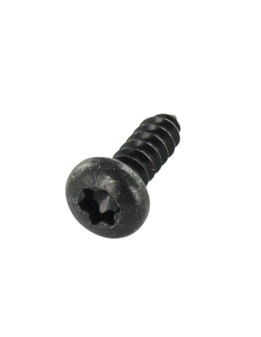 1 x Thread Rolling Screw Pan Head 4.2X13 T20...