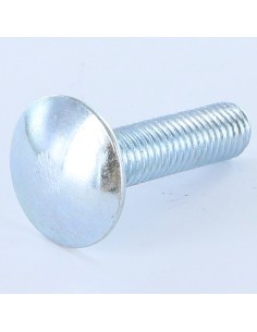 Carriage Bolt M10X20 Full Thread Zinc Plated