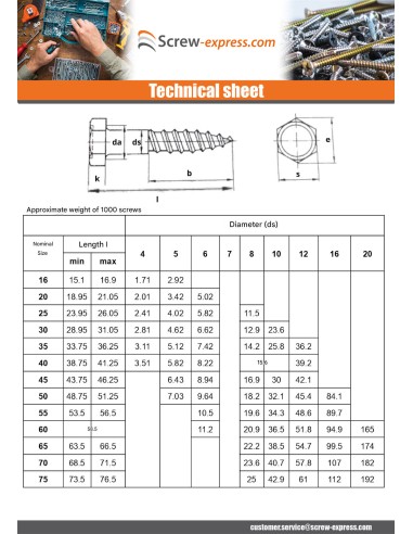 1 x Coach Screws/Hexagonal Head Wood 10X250...