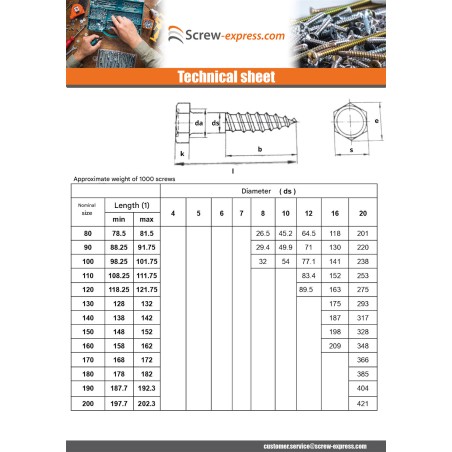 1 x Coach Screws/Hexagonal Head Wood 10X250 Zinc Plated