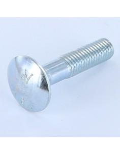 Carriage Bolt M10X30 Partial Thread Class 8.8 Zinc Plated