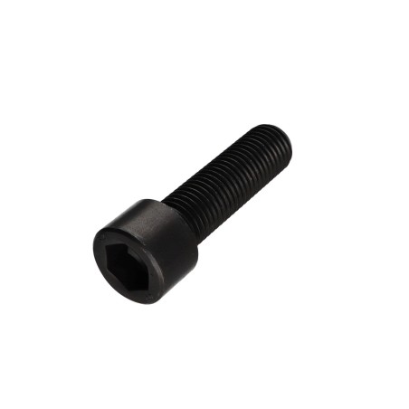 1 x Machine Screw Socket Head Hexagon Socket 19 M24X70 Full Thread Class 12.9 Steel