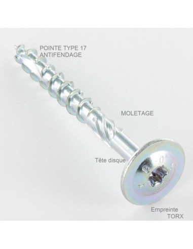 1 x Chipboard Screw Disc Head Screw T40 10X100...