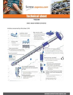 Chipboard Screw Disc Head Screw T40 10X220 Zinc Plated 2