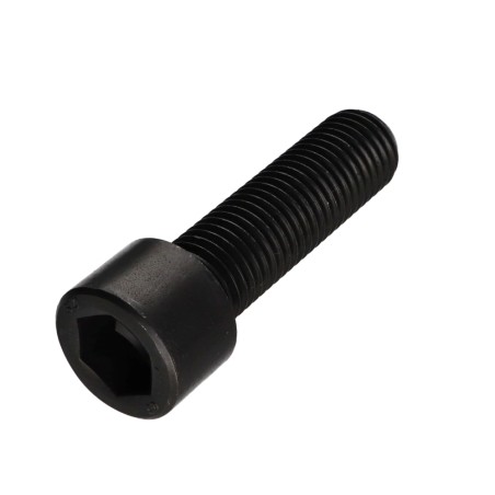 1 x Machine Screw Socket Head Hexagon Socket 17 M22X50 Full Thread Class 12.9 Steel