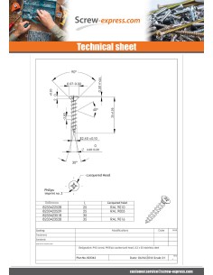 Screw For Plastic Stainless Steel A2 Pan Countersunk Head... 2