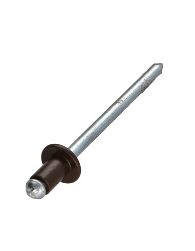 1 x Blind rivets Aluminium Stahlgewinde 4X6...