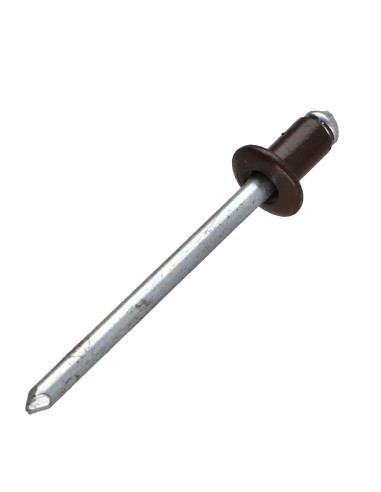 1 x Blind rivets Aluminium Stahlgewinde 4X6...