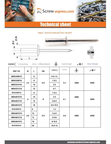1 x Rivet Stainless Steel GOSTOP TRS 3.2X10