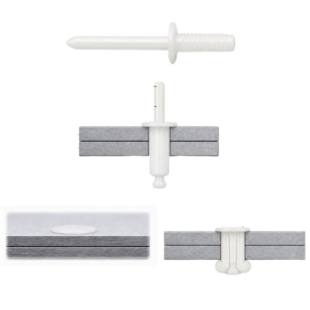 1 x Rivet Blind Head Flat Nylon Polyamid 6.6 4X8