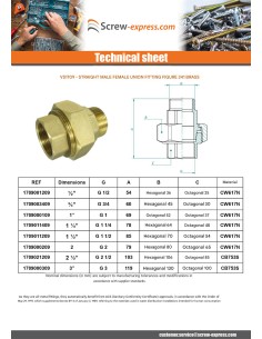 Straight union fitting figure 341 Male/Female 2" Brass 2