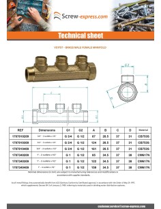 Collector 3/4" Male/Female 4 exits Brass 2