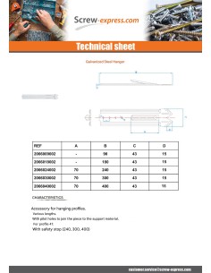 SUSPENSION Length 170 Zinc Plated 2