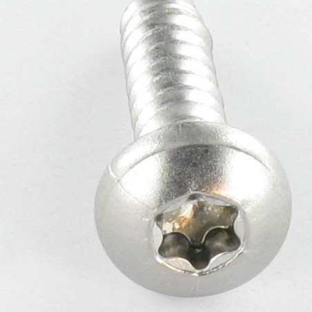 1 x Thread Rolling Screw wide domed head 4.8X13 Stainless Steel A2 T25 RAL7006