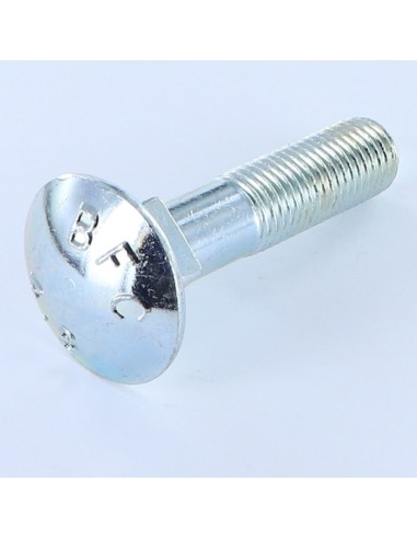 1 x Carriage Bolt M20X100 Partial Thread Zinc...