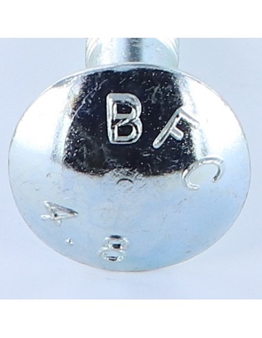 1 x Carriage Bolt M20X100 Partial Thread Zinc...