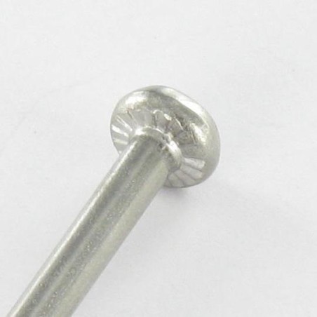 1 x Machine Screw Cylindrical Button Head T20 4X78 Thread Length: 30 Stainless Steel A2