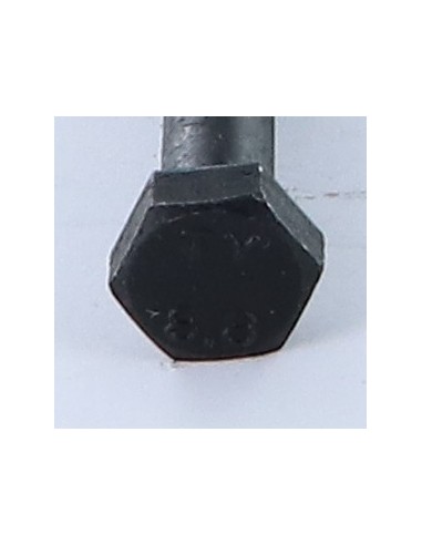1 x Bolt Partial Thread Hexagonal Head M10X250...