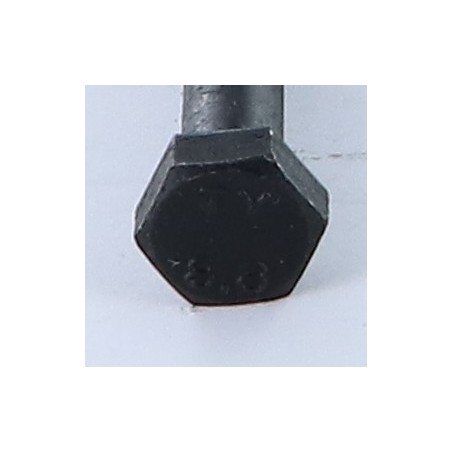 1 x Bolt Partial Thread Hexagonal Head M10X250 Class 8.8 Steel