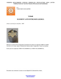 ELEMENT ANTI-INTRUSION T40 Zinc Plated 2