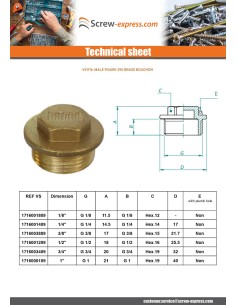 Male plug figure 290 1 1/4" Brass 2
