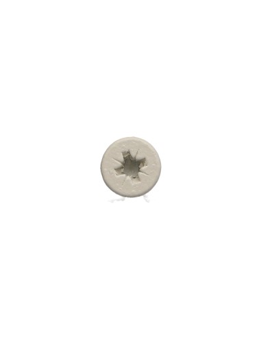 1 x Chipboard Screw Stainless Steel A2...