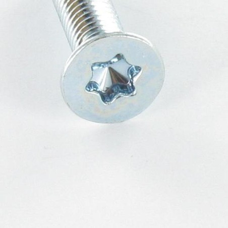 1 x Machine Screw Countersunk Head M5X20 Class 10.9 T20 Zinc Plated
