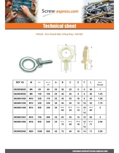 Eye Nut MALE M45 Zinc Plated 2