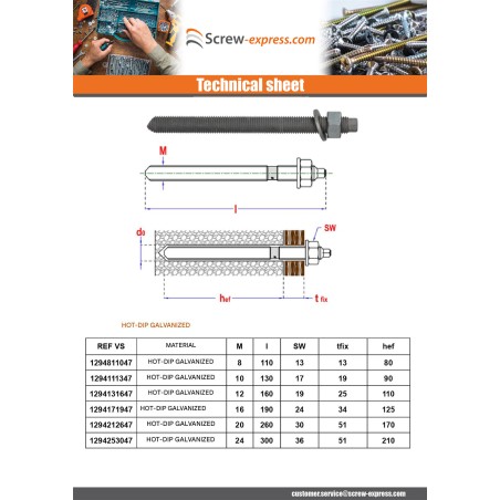 1 x Threaded Rod Anchor CHEMICAL M12X220 Zinc Plated