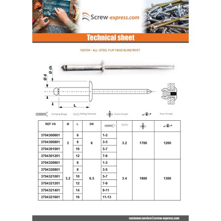 1 x Rivet Steel/ steel ZING 3.2X16 Thickness Of Panel 11 to 13 Flat Head