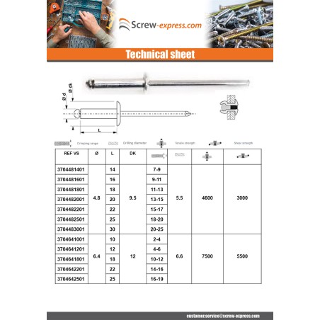 1 x Rivet Steel/ steel ZING 3.2X16 Thickness Of Panel 11 to 13 Flat Head