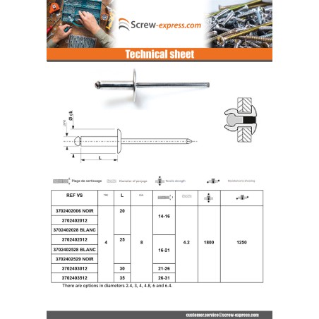 1 x Blind rivets Aluminium Stahlgewinde 4X12 Thickness Of Panel 6 to 8 Standard round head Ral9016/Traffic Signalisation