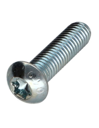 1 x Machine Screw Pan Head T25 M5X30 Class 10.9...