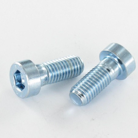 1 x Machine Screw Socket Head BOTTOM/HOLE Hexagon Socket 10 M12X60 Thread Length: 30 Class 8.8 Zinc Plated