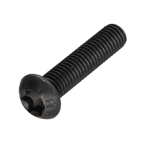 1 x Machine Screw Pan Head T40 M8X30 Class 10.9 Steel