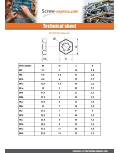Nut PAL M10 Hot Dip Galvanized 2