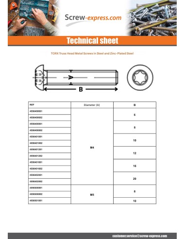 1 x Machine Screw Pan Head T20 M4X10 Class 10.9...