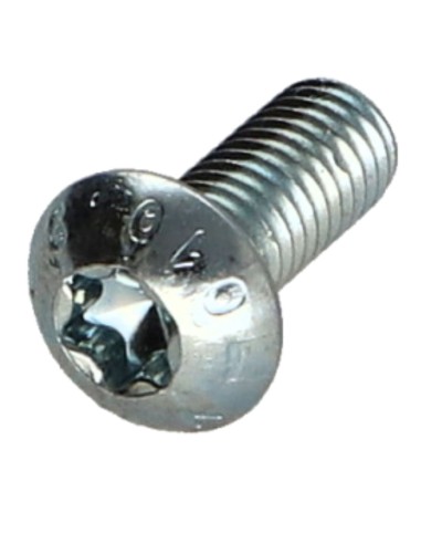 1 x Machine Screw Pan Head T25 M5X10 Class 10.9...