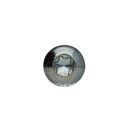 1 x Machine Screw Pan Head T40 M8X30 Class 10.9 Zinc Plated