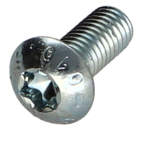1 x Machine Screw Pan Head T25 M5X12 Class 10.9 Zinc Plated